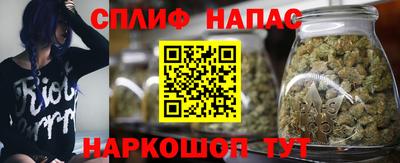 спиды Кандалакша