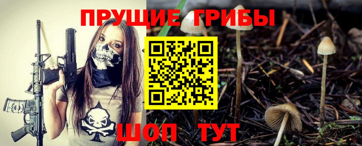 Галлюциногенные грибы Cubensis  Вход с VPN  Красноуфимск  Псилоцибиновые грибы прущие грибы 